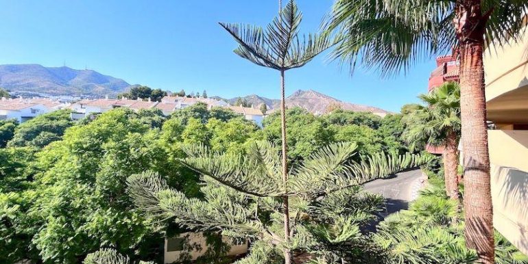 Imagen de WhatsApp 2025-10-16 a las 11.57.29_487ab0d7